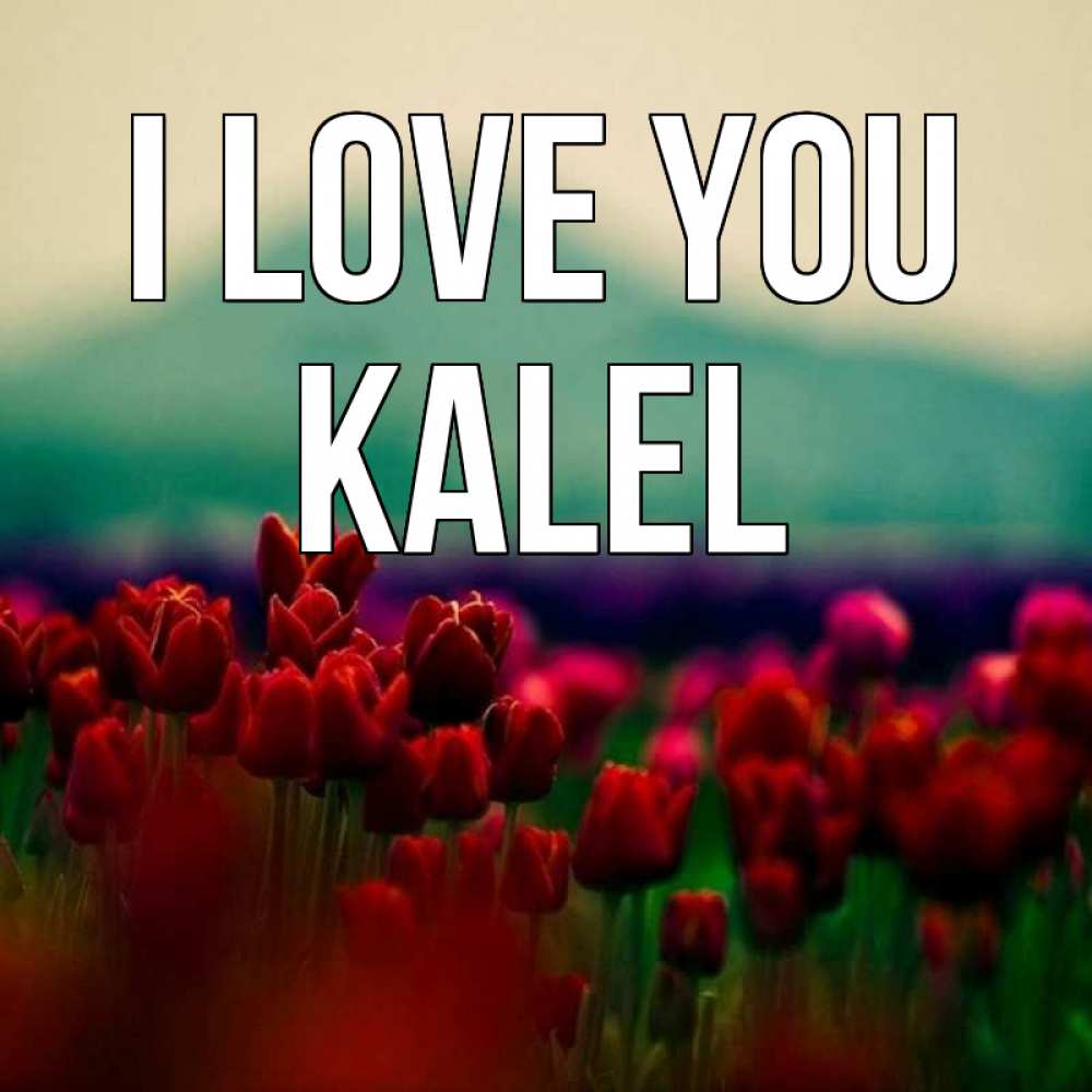 Greetings card с именем, Kalel I love you тюльпаны 4 Greetings with text for free download 