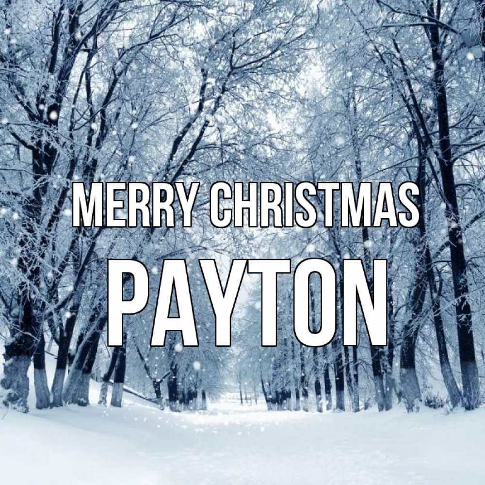 Greetings card с именем, Payton Merry Christmas снег, лес, парк Greetings with text for free download 