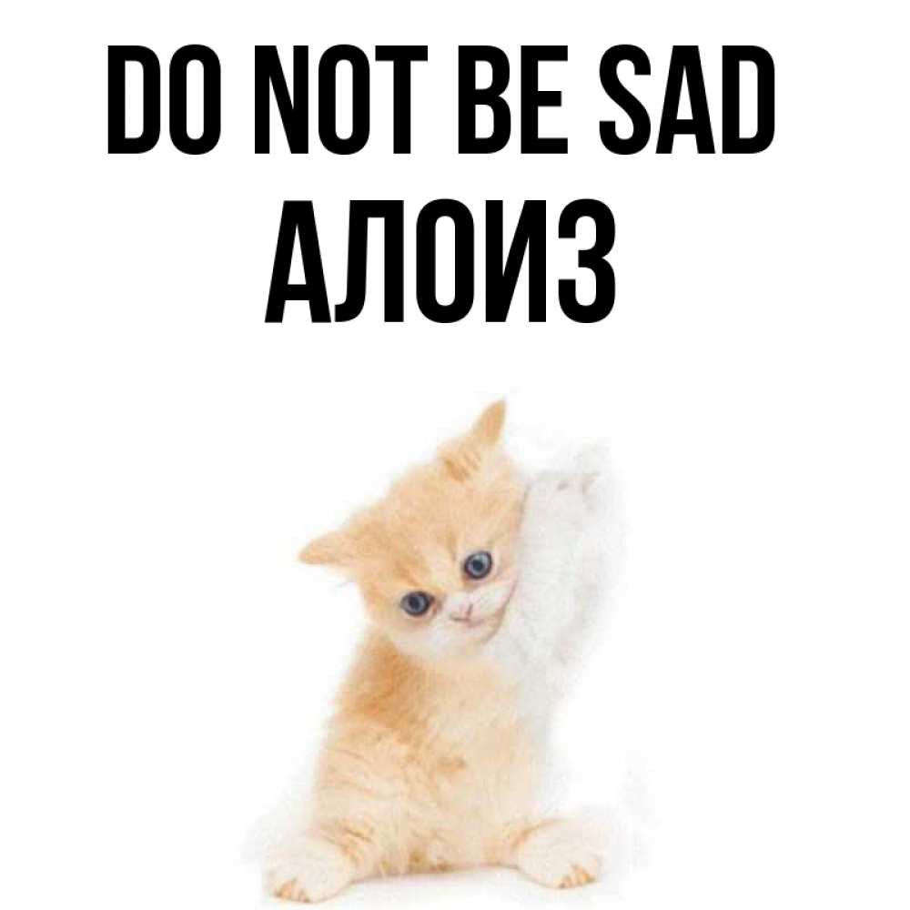 Greetings card с именем, Алоиз Do not be sad просящий кот Greetings with text for free download 