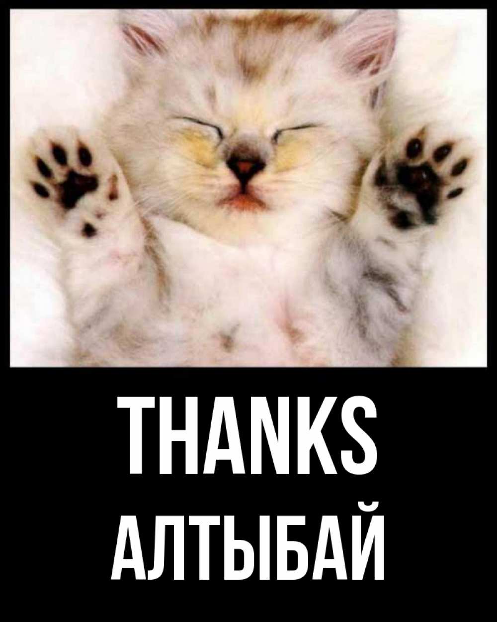 Greetings card с именем, Алтыбай Thanks маленький котенок Greetings with text for free download 