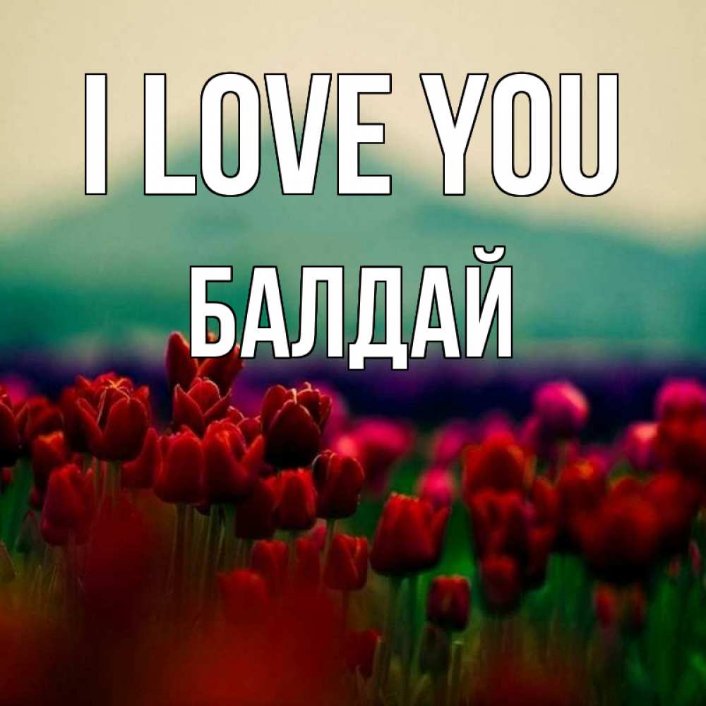 Greetings card с именем, БАЛДАЙ I love you тюльпаны 4 Greetings with text for free download 