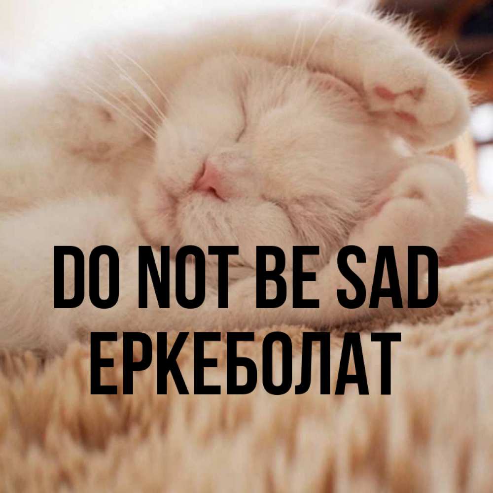 Greetings card с именем, Еркеболат Do not be sad Котенок спит Greetings with text for free download 