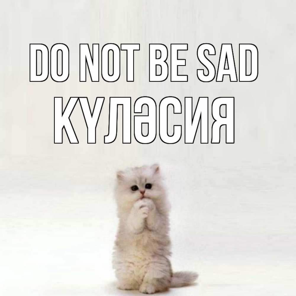 Greetings card с именем, КҮЛӘСИЯ Do not be sad грустный кот Greetings with text for free download 