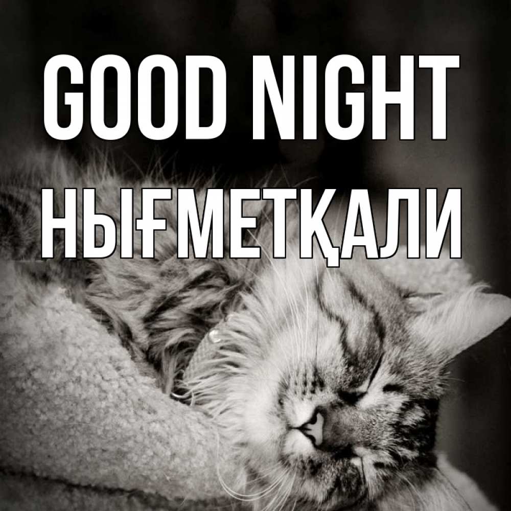 Greetings card с именем, НЫҒМЕТҚАЛИ Good night котярик пушистый Greetings with text for free download 