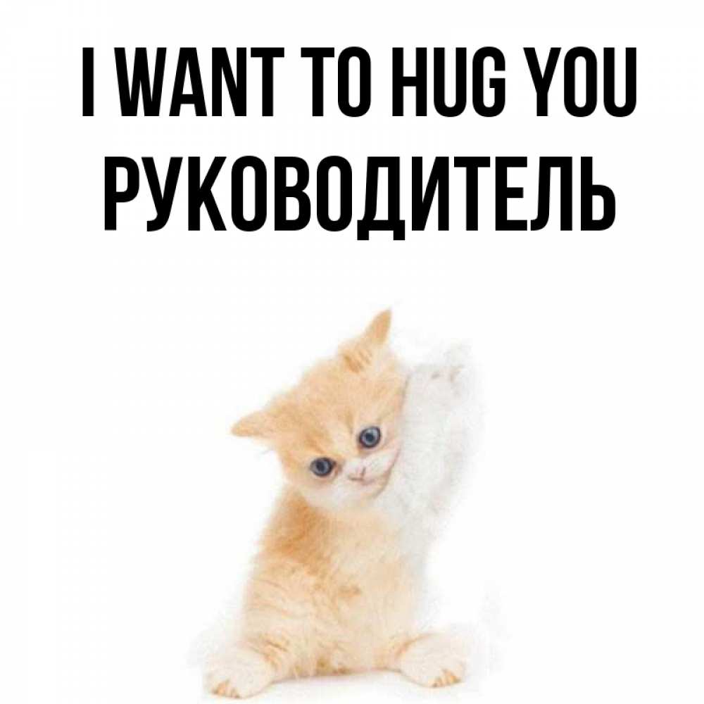 Greetings card с именем, Руководитель I want to hug you я хочу очень скорее обнимаешек Greetings with text for free download 