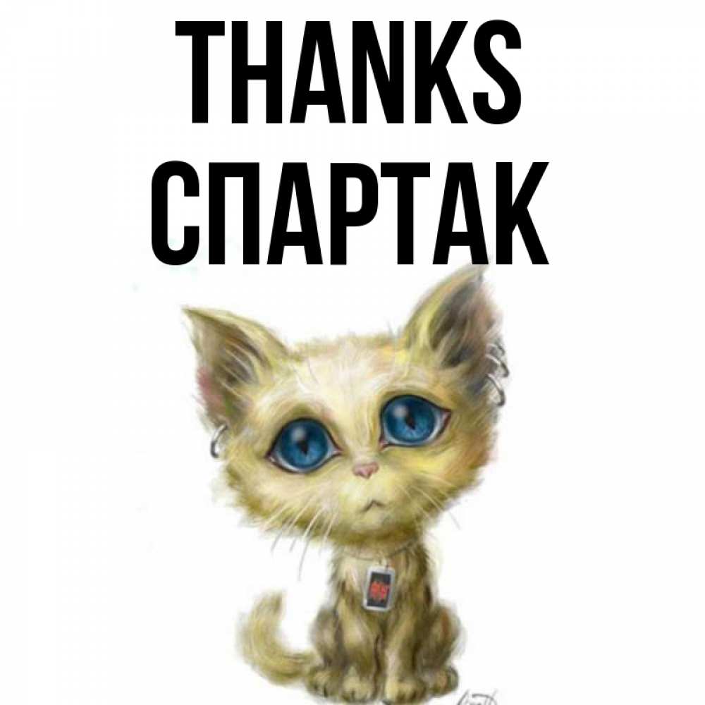 Greetings card с именем, Спартак Thanks рисованный кот благодарит вас Greetings with text for free download 