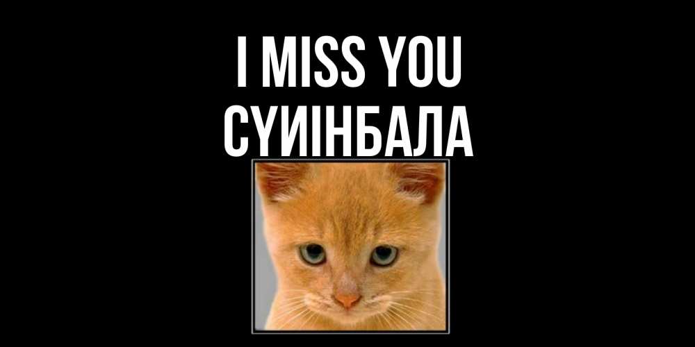 Greetings card с именем, СҮИІНБАЛА I miss you открытки рыжий котенок скучает по тебе Greetings with text for free download 