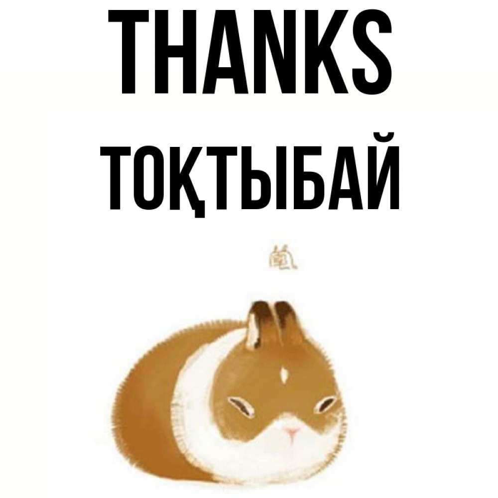 Greetings card с именем, ТОҚТЫБАЙ Thanks коричнево белый домашний питомец Greetings with text for free download 