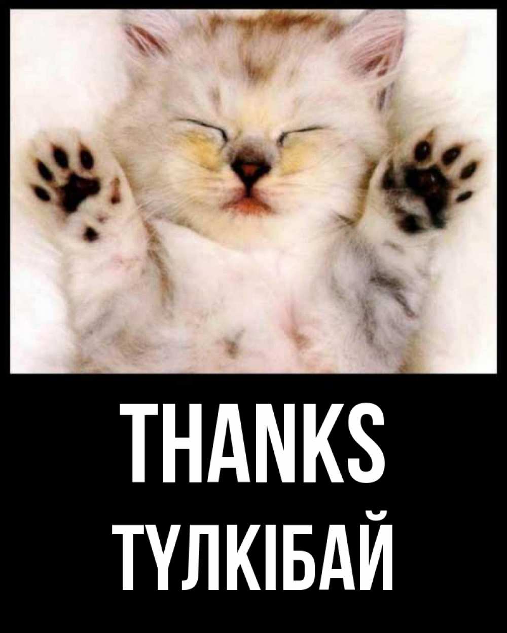 Greetings card с именем, ТҮЛКІБАЙ Thanks маленький котенок Greetings with text for free download 