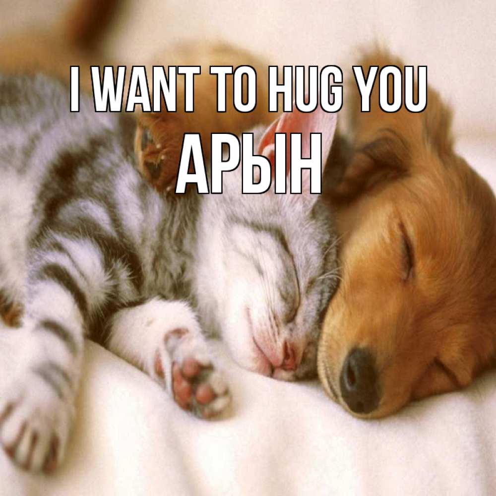 Greetings card с именем, Арын I want to hug you пес и котенок Greetings with text for free download 