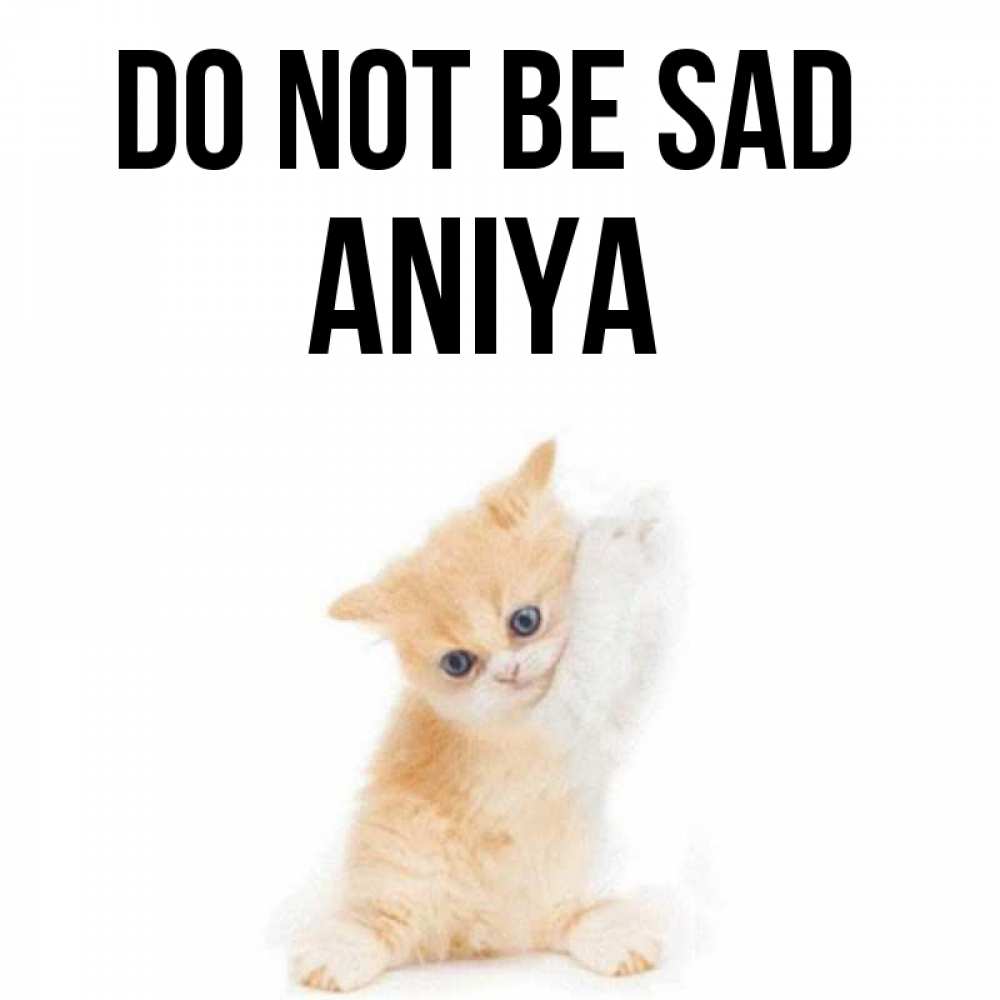 Greetings card с именем, Aniya Do not be sad просящий кот Greetings with text for free download 