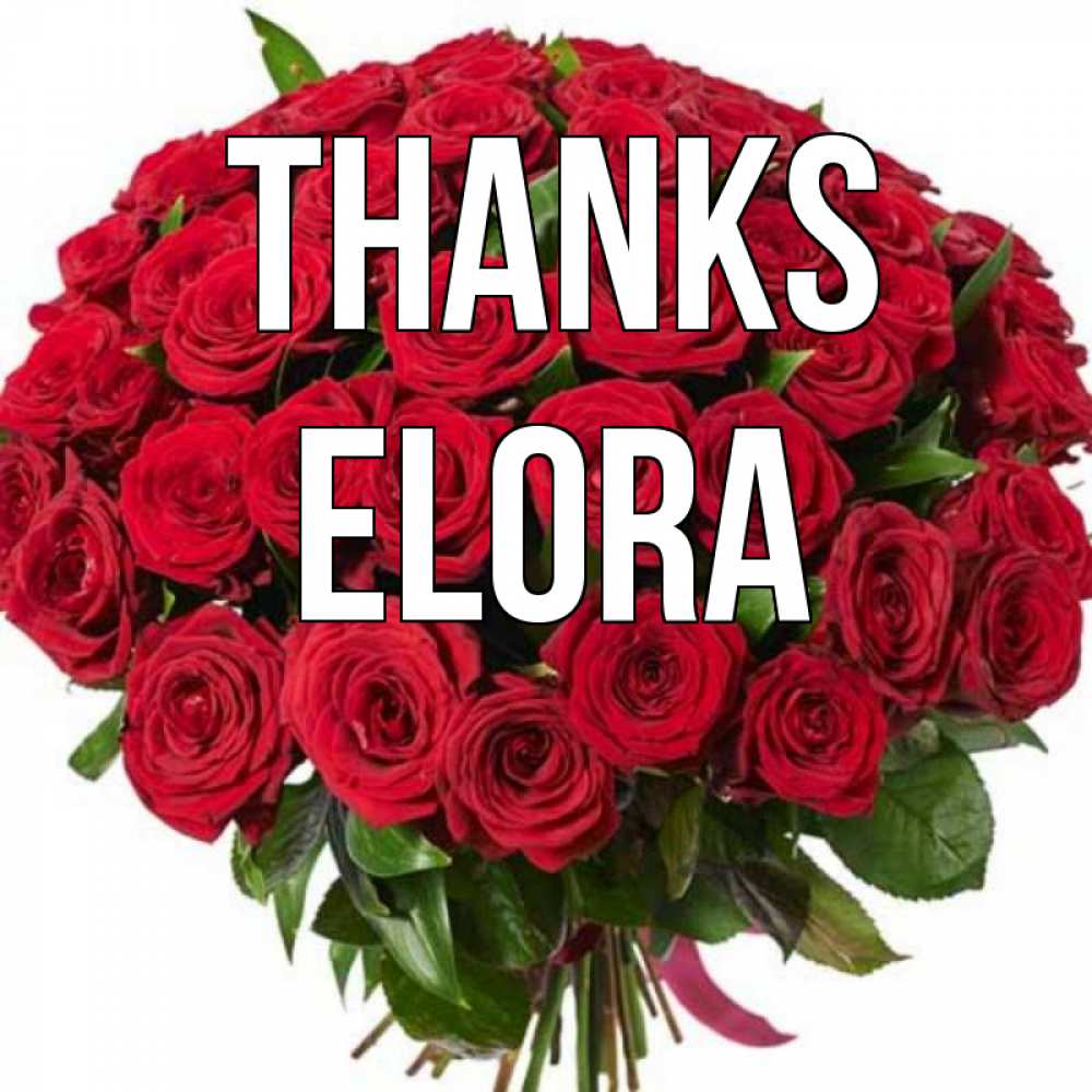 Greetings card с именем, Elora Thanks букет красных роз Greetings with text for free download 