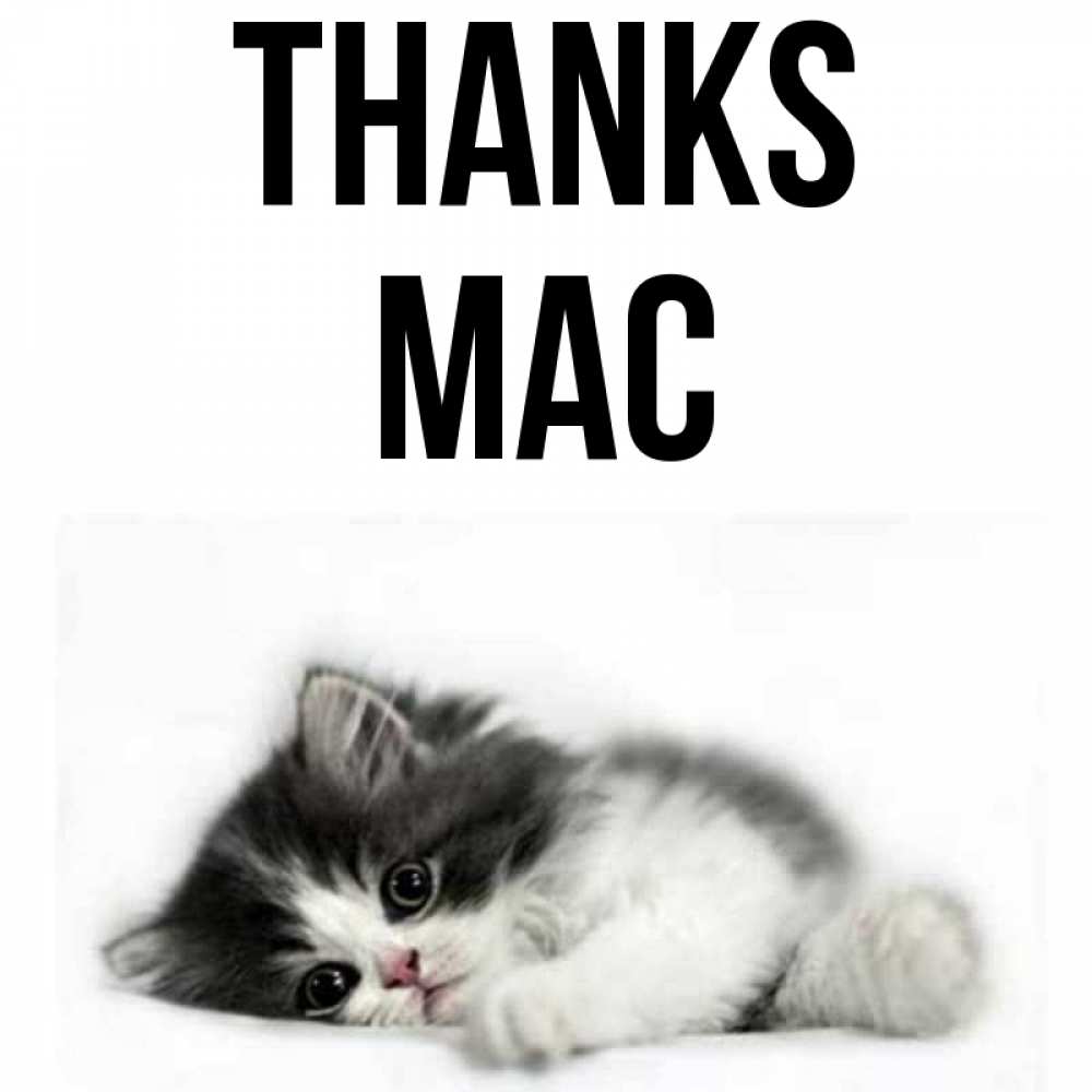Greetings card с именем, Mac Thanks черный и белый кот Greetings with text for free download 