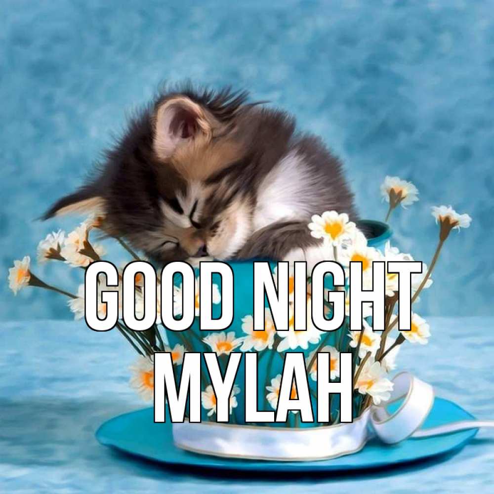Greetings card с именем, Mylah Good night котенок спит в кружке с блюдцем Greetings with text for free download 