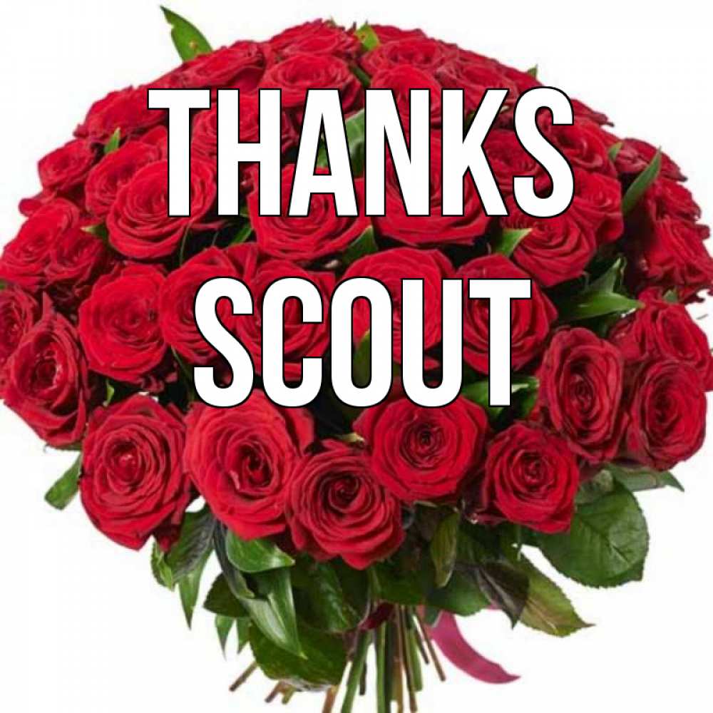 Greetings card с именем, Scout Thanks букет красных роз Greetings with text for free download 