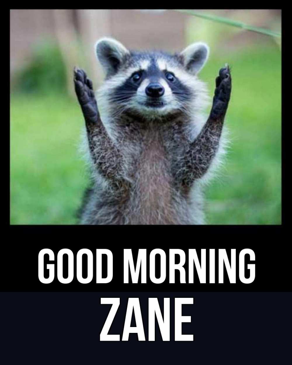 Greetings card с именем, Zane Good morning хорошее настроение утречком Greetings with text for free download 