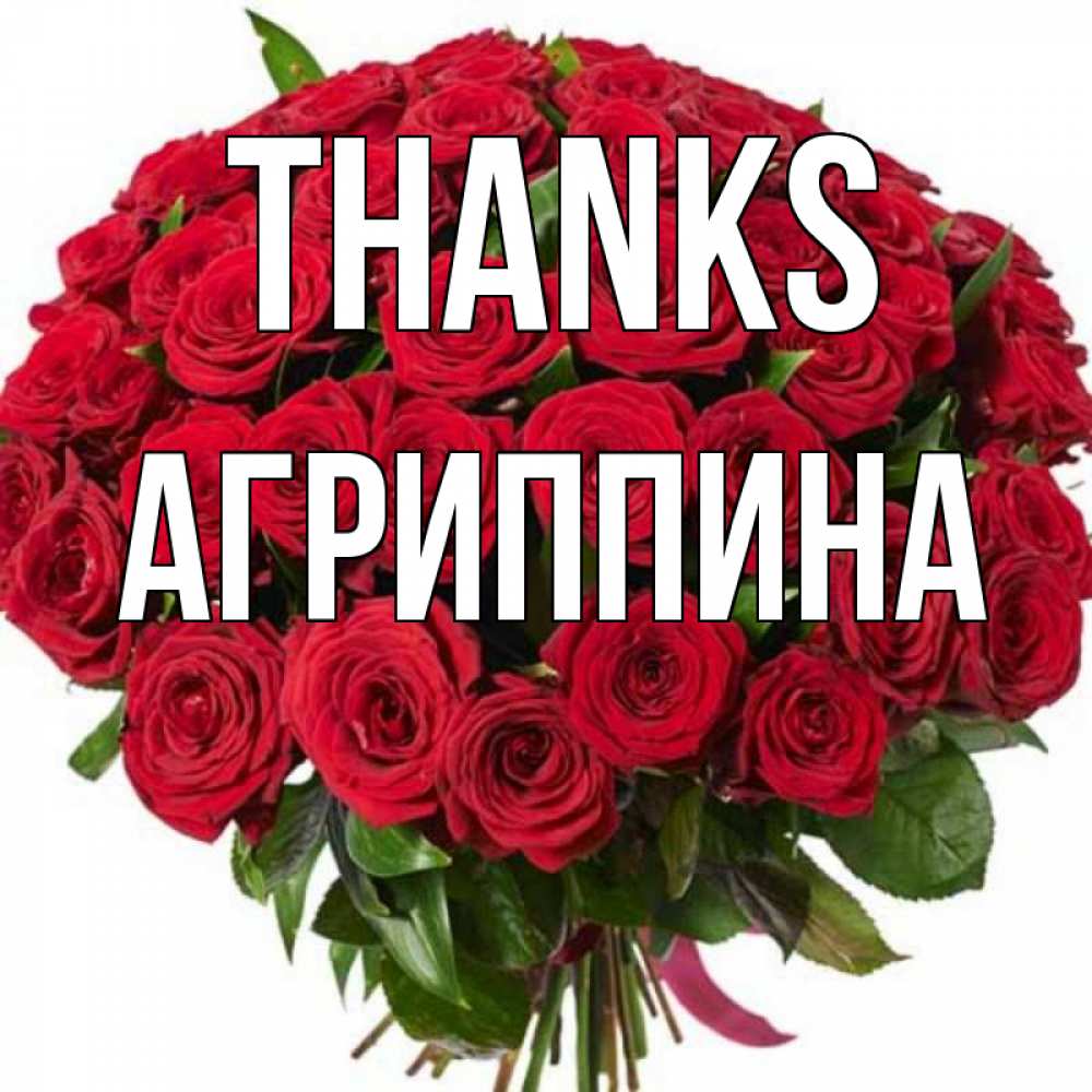 Greetings card с именем, Агриппина Thanks букет красных роз Greetings with text for free download 