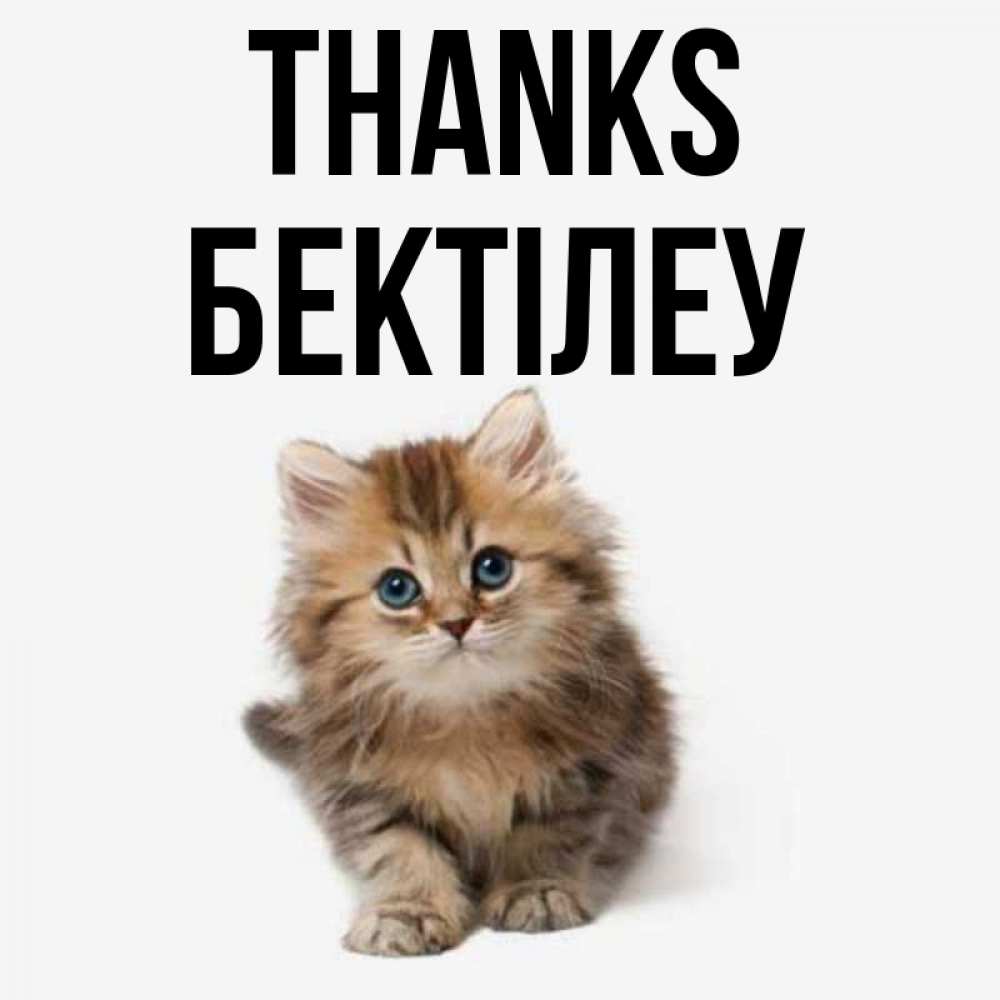 Greetings card с именем, Бектілеу Thanks пушистый котик Greetings with text for free download 