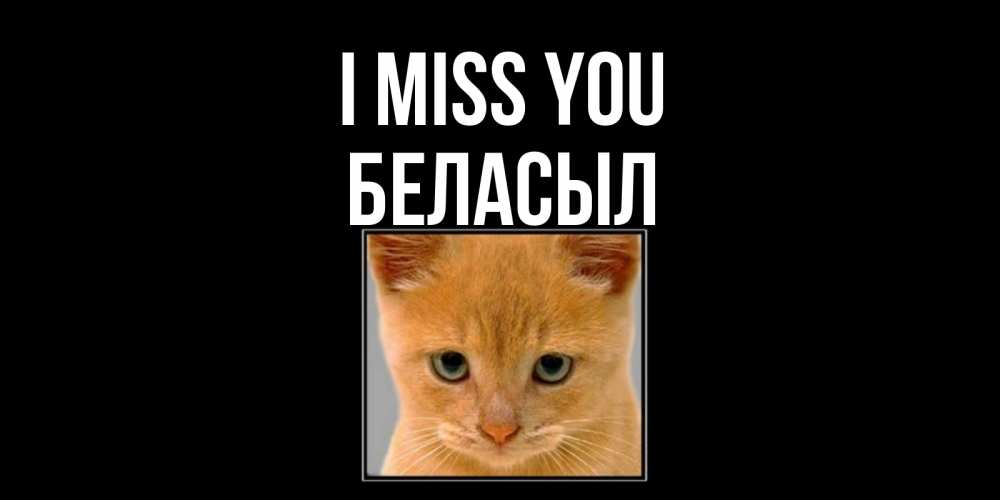 Greetings card с именем, Беласыл I miss you открытки рыжий котенок скучает по тебе Greetings with text for free download 