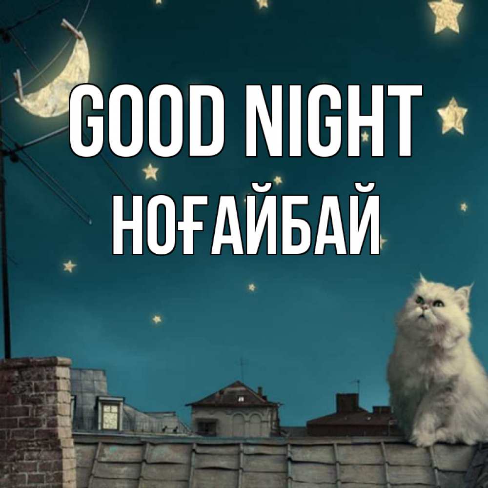 Greetings card с именем, НОҒАЙБАЙ Good night белый кот сидит на крыше Greetings with text for free download 