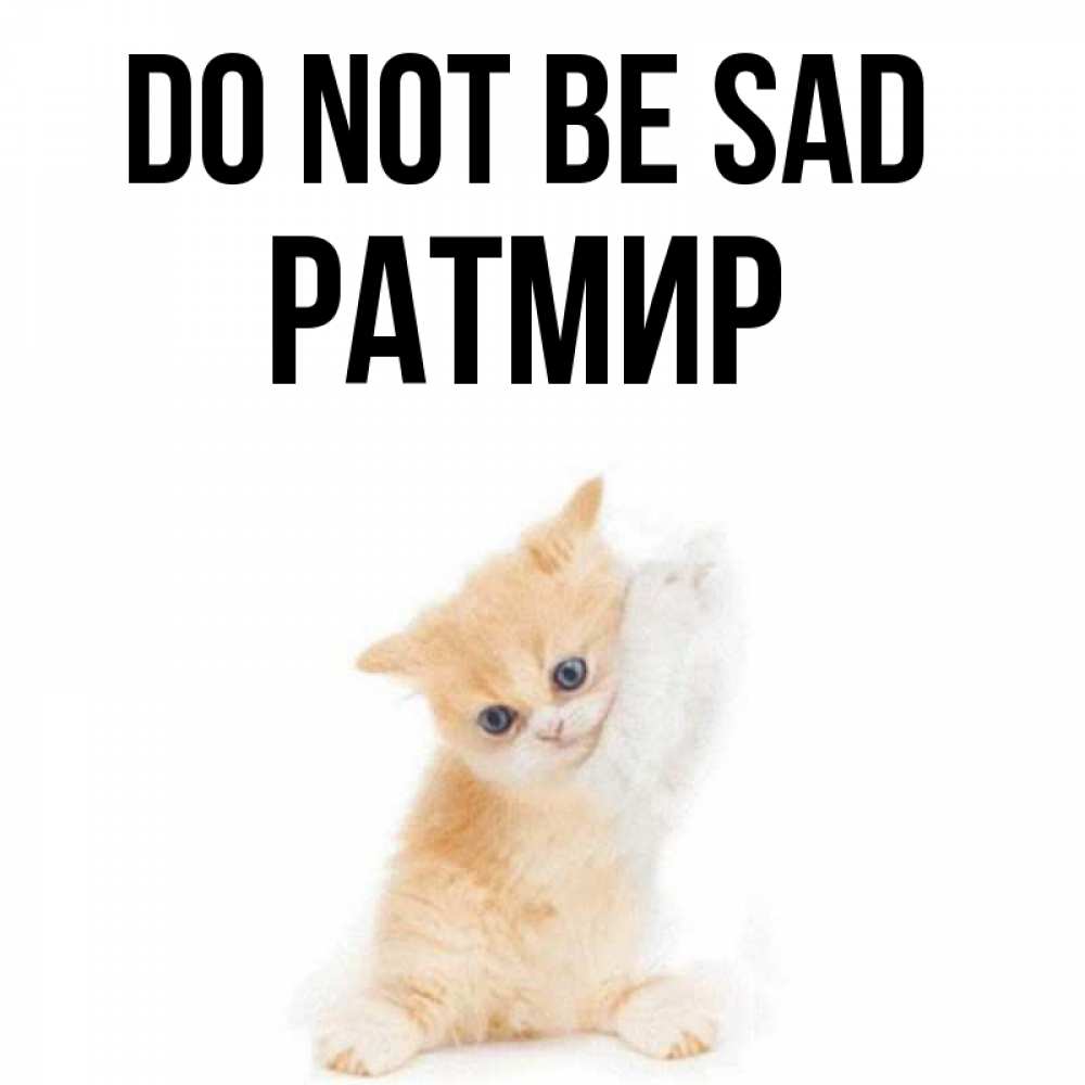 Greetings card с именем, Ратмир Do not be sad просящий кот Greetings with text for free download 