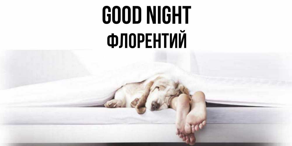 Greetings card с именем, Флорентий Good night кровать с собакой пожелание сладких снов и спокойной ночи Greetings with text for free download 