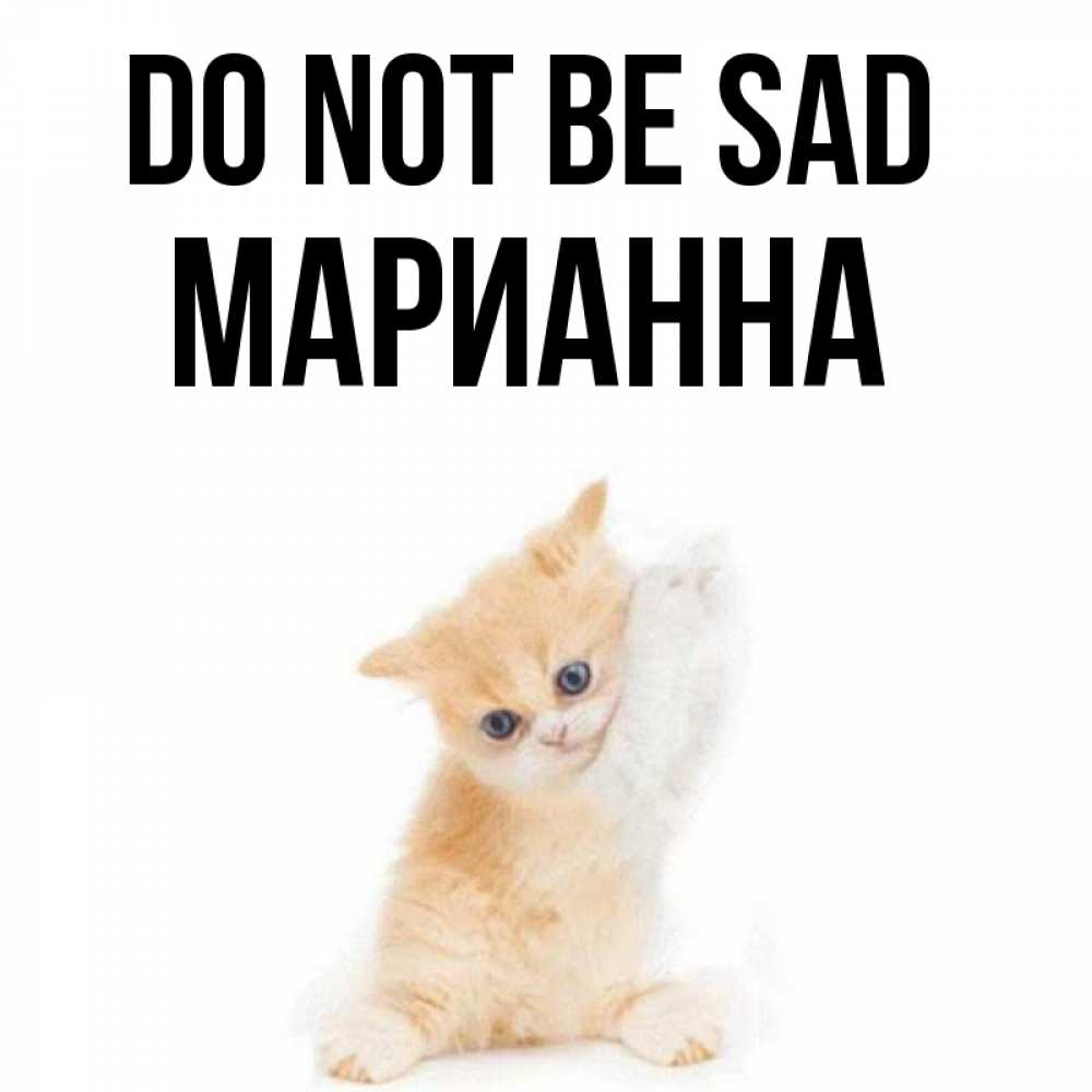 Greetings card с именем, Марианна Do not be sad просящий кот Greetings with text for free download 