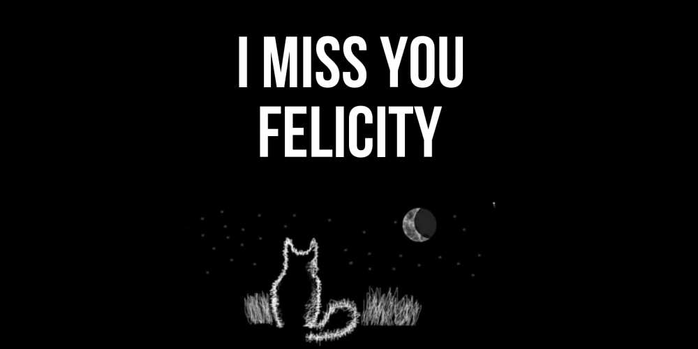 Greetings card с именем, Felicity I miss you кот Greetings with text for free download 