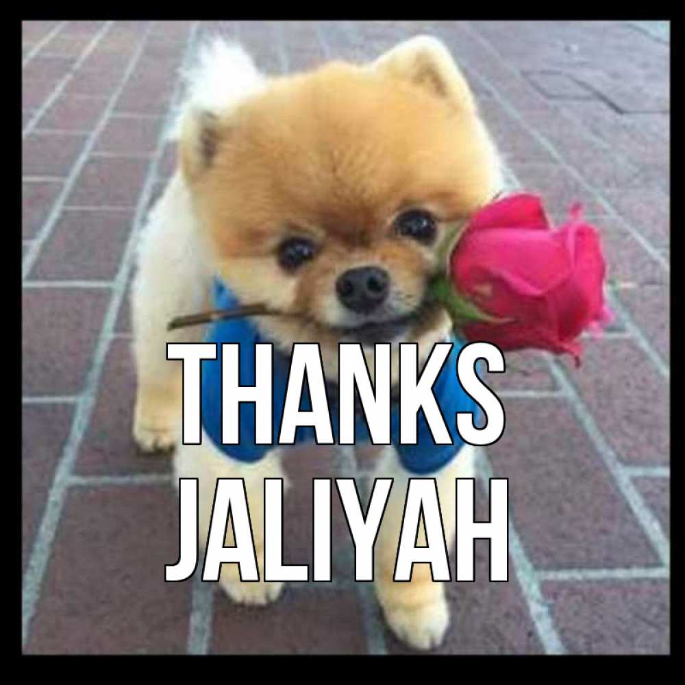 Greetings card с именем, Jaliyah Thanks спасибо и дарю тебе цветок Greetings with text for free download 