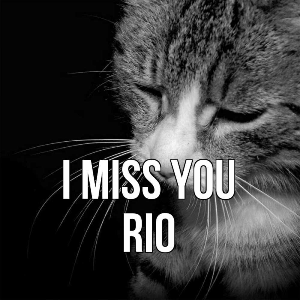 Greetings card с именем, Rio I miss you мне скучно Greetings with text for free download 