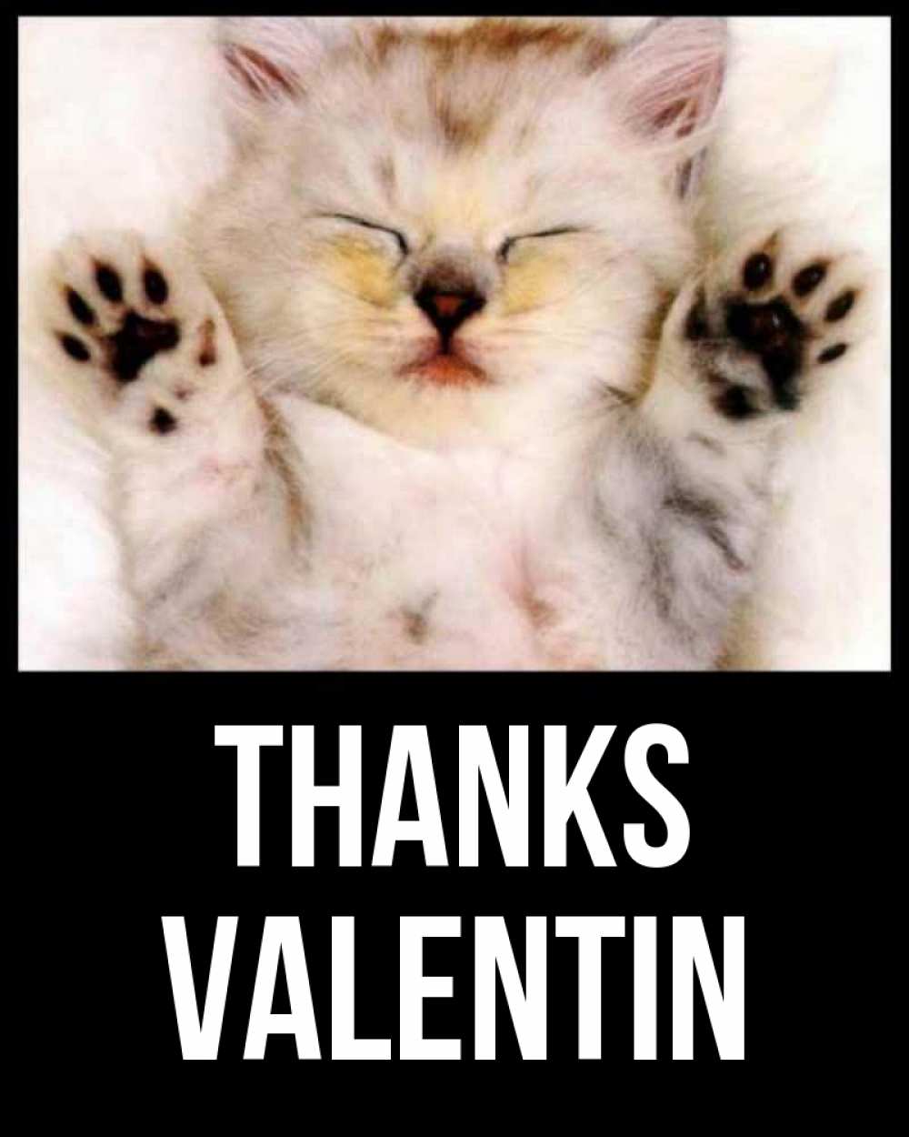 Greetings card с именем, Valentin Thanks маленький котенок Greetings with text for free download 