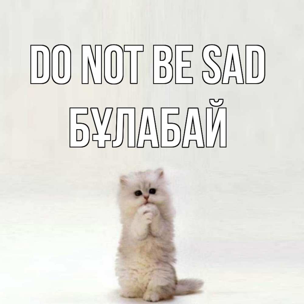Greetings card с именем, Бұлабай Do not be sad грустный кот Greetings with text for free download 