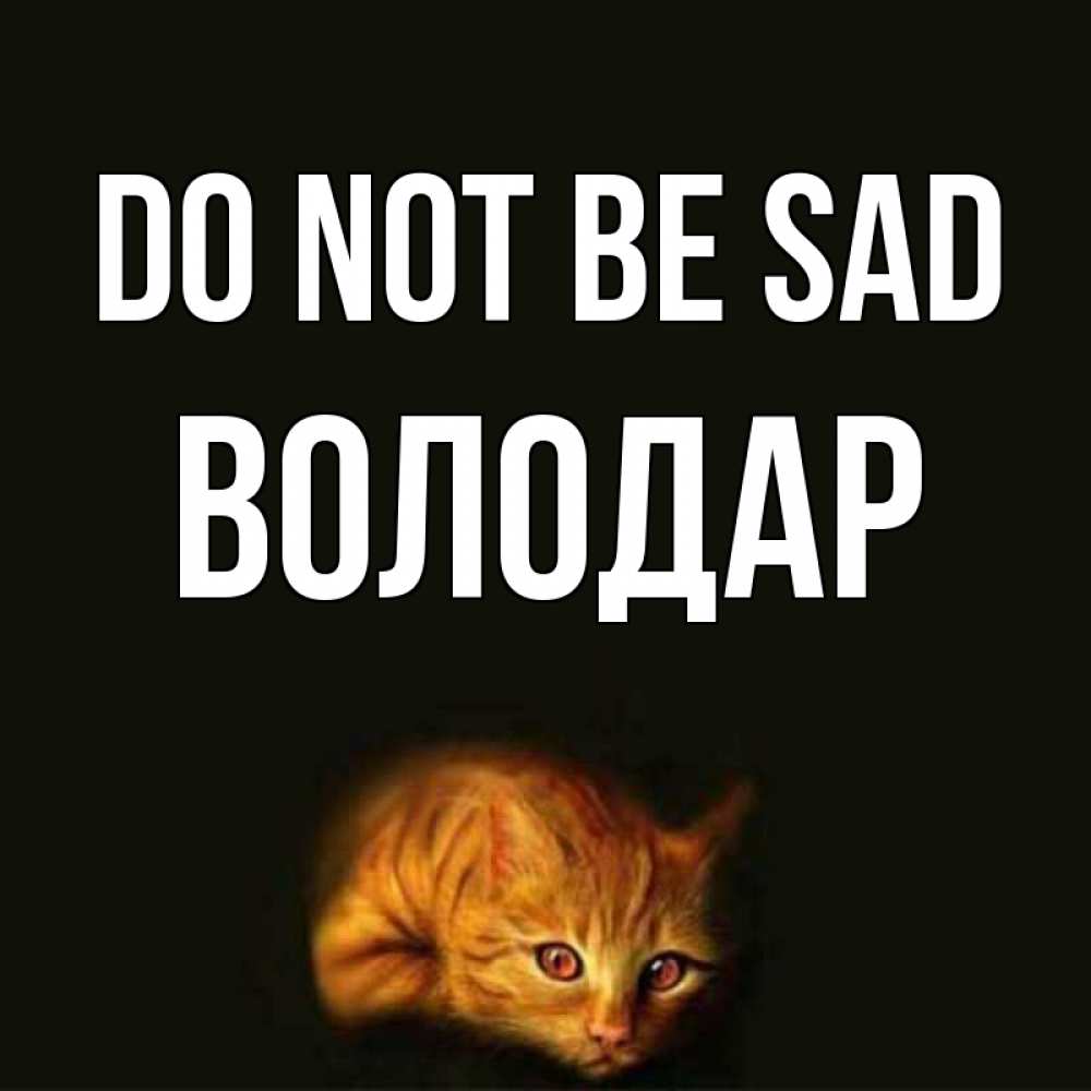 Greetings card с именем, Володар Do not be sad лежащий кот в темноте Greetings with text for free download 