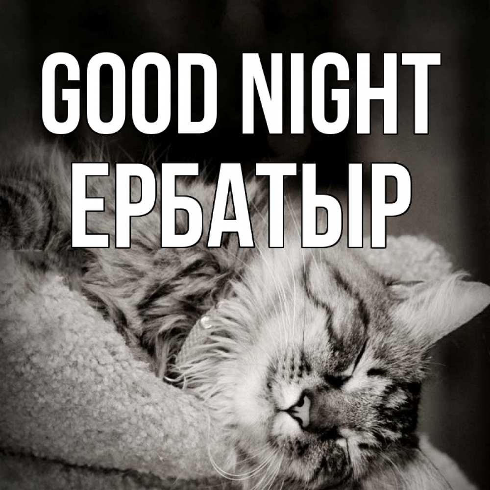Greetings card с именем, Ербатыр Good night котярик пушистый Greetings with text for free download 