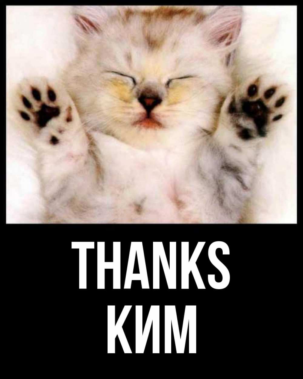 Greetings card с именем, Ким Thanks маленький котенок Greetings with text for free download 