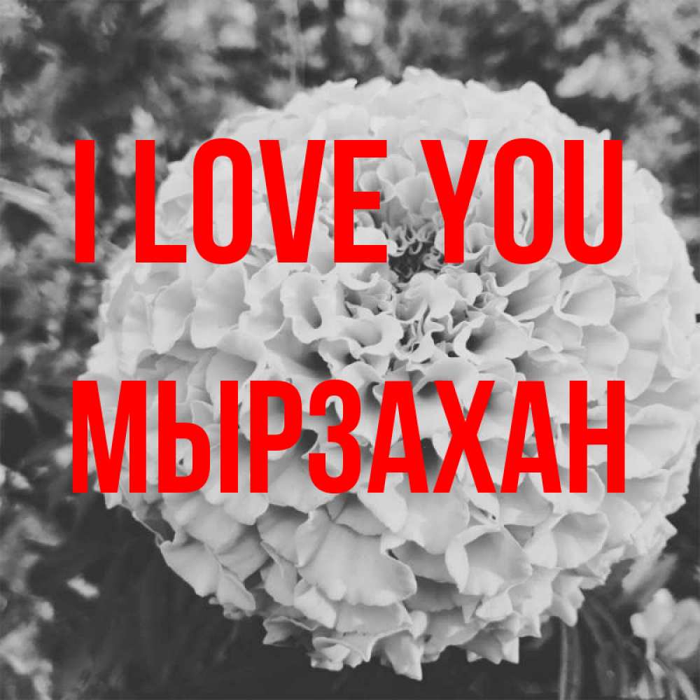 Greetings card с именем, Мырзахан I love you подпись Greetings with text for free download 
