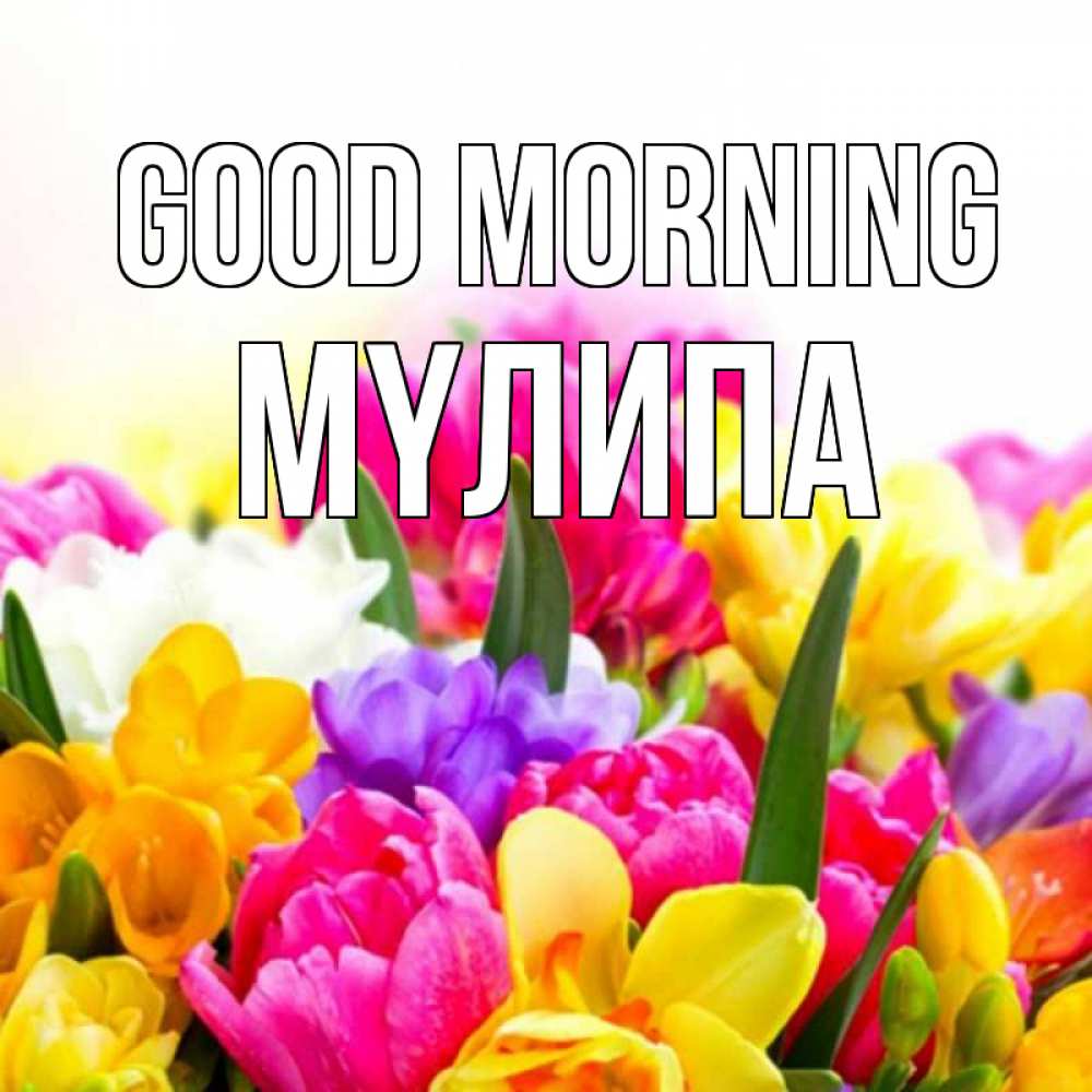 Greetings card с именем, МҮЛИПА Good morning создать открытку со свое подписью Greetings with text for free download 