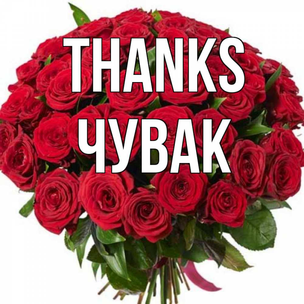 Greetings card с именем, Чувак Thanks букет красных роз Greetings with text for free download 