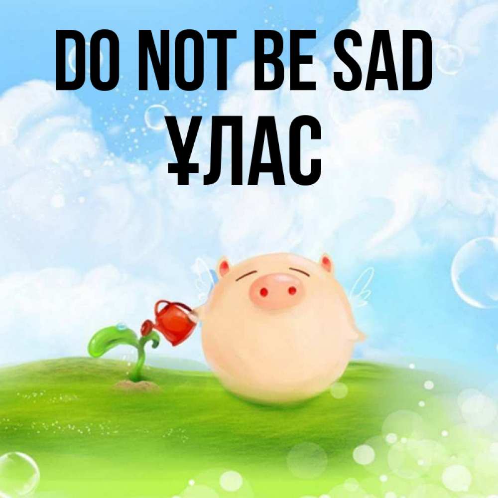 Greetings card с именем, ҰЛАС Do not be sad поливает цветок порося Greetings with text for free download 