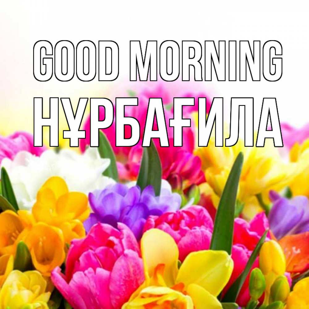 Greetings card с именем, НҰРБАҒИЛА Good morning создать открытку со свое подписью Greetings with text for free download 