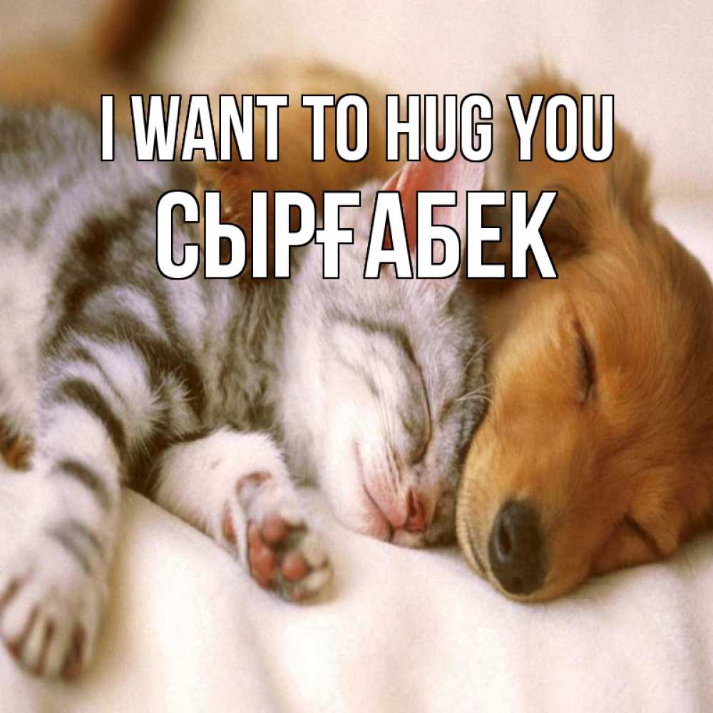 Greetings card с именем, СЫРҒАБЕК I want to hug you пес и котенок Greetings with text for free download 