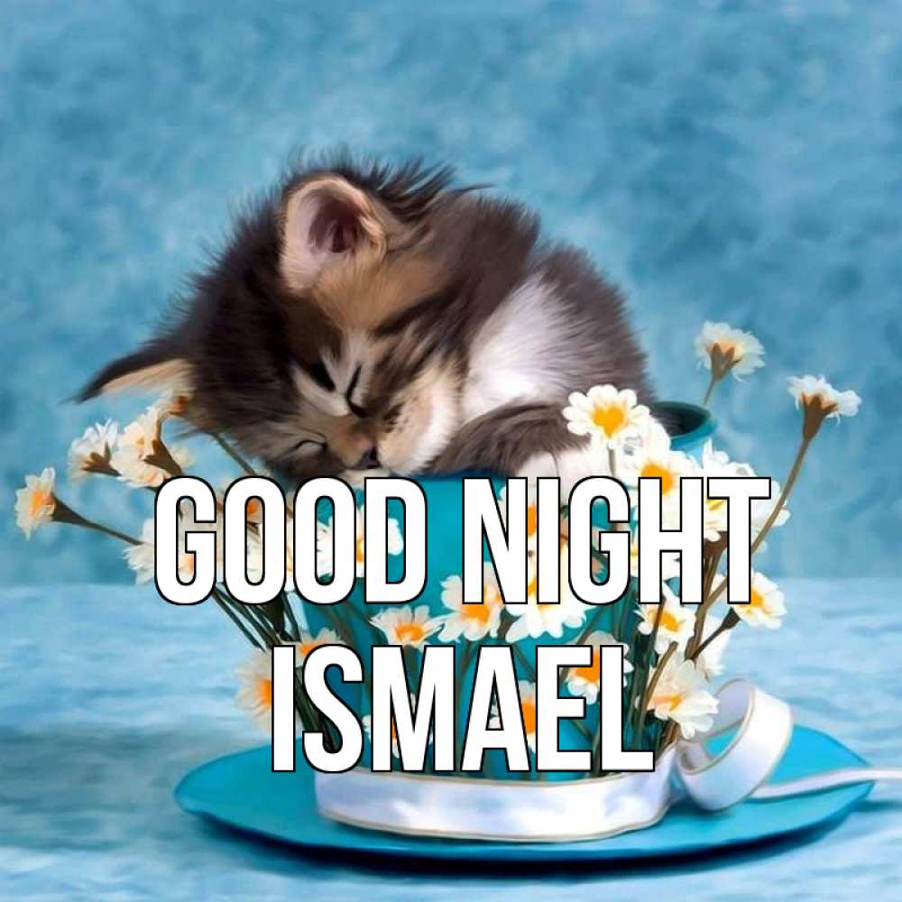 Greetings card с именем, Ismael Good night котенок спит в кружке с блюдцем Greetings with text for free download 