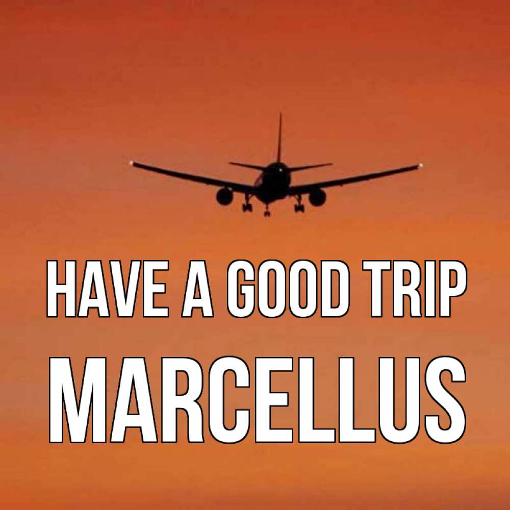 Greetings card с именем, Marcellus Have a good trip силуэт самолета Greetings with text for free download 