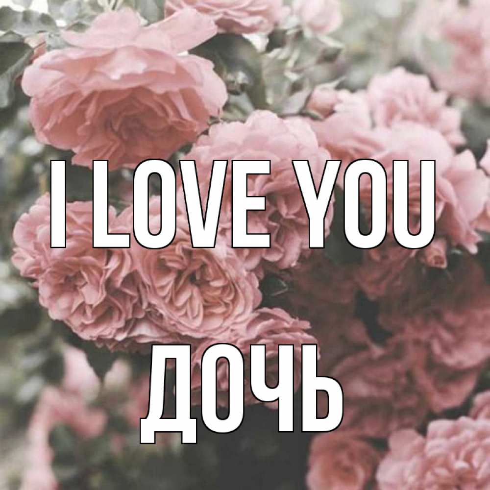 Greetings card с именем, Дочь I love you розы 3 Greetings with text for free download 