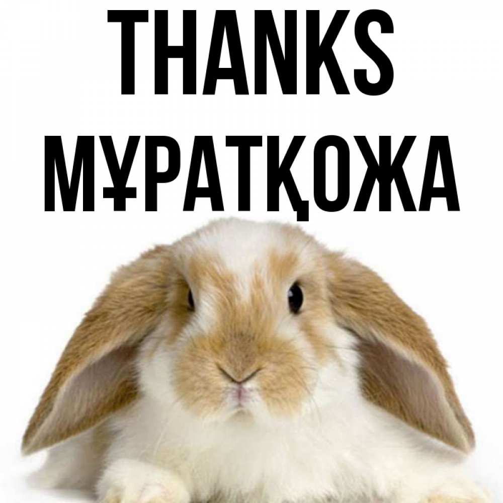 Greetings card с именем, Мұратқожа Thanks коричнево белый заяц Greetings with text for free download 