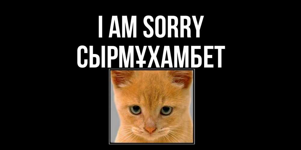 Greetings card с именем, СЫРМҰХАМБЕТ I am sorry рыжий грустный кот просит прощения Greetings with text for free download 