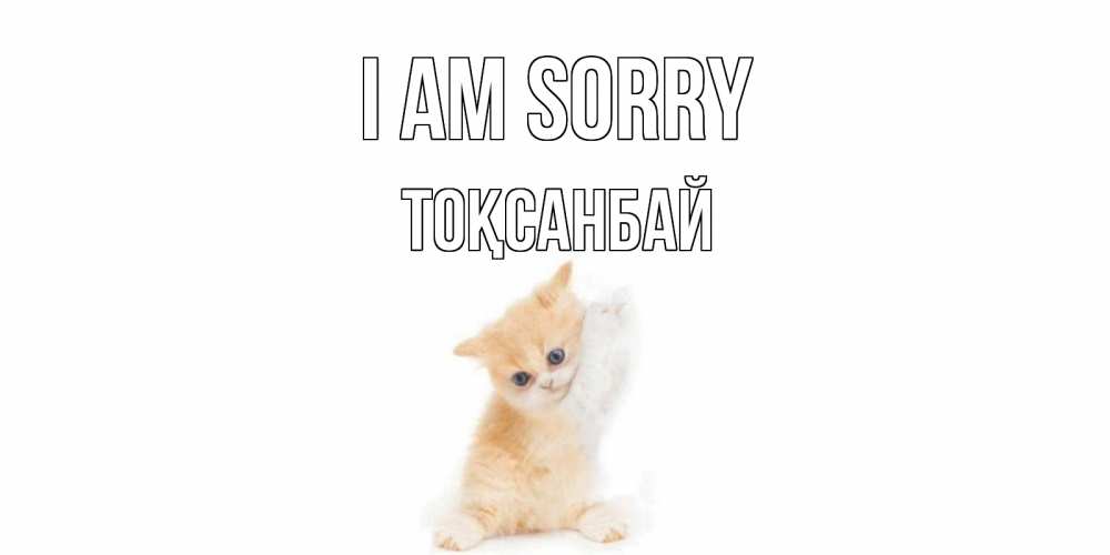Greetings card с именем, ТОҚСАНБАЙ I am sorry кот Greetings with text for free download 