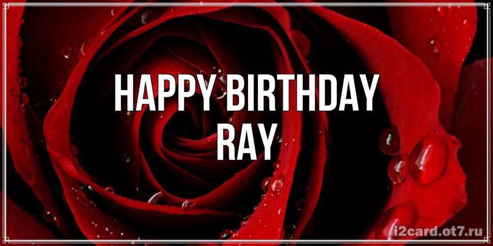 Greetings card с именем, Ray Happy Birthday крупная бордовая роза Greetings with text for free download 