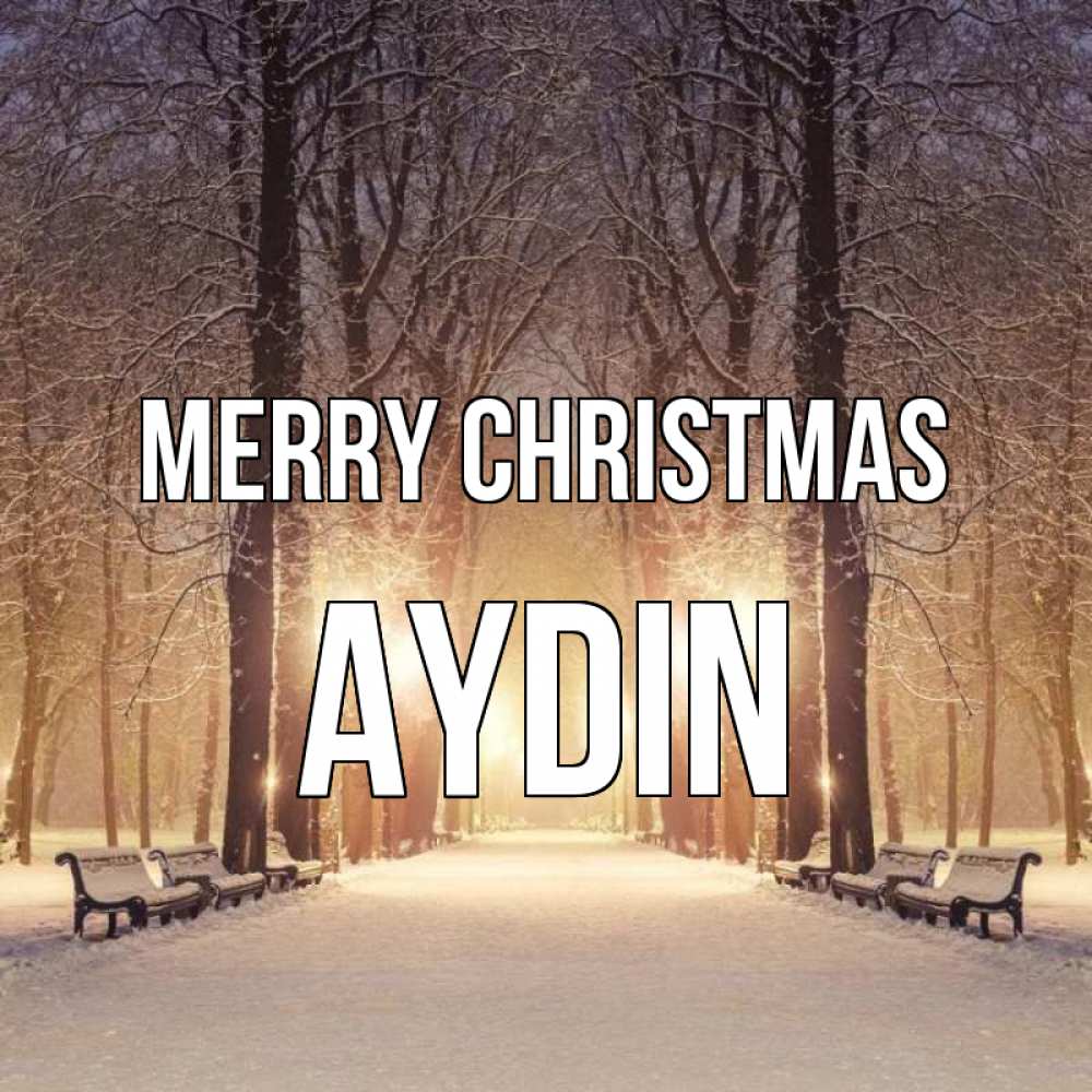 Greetings card с именем, Aydin Merry Christmas зима, парк, фонарь, лес Greetings with text for free download 