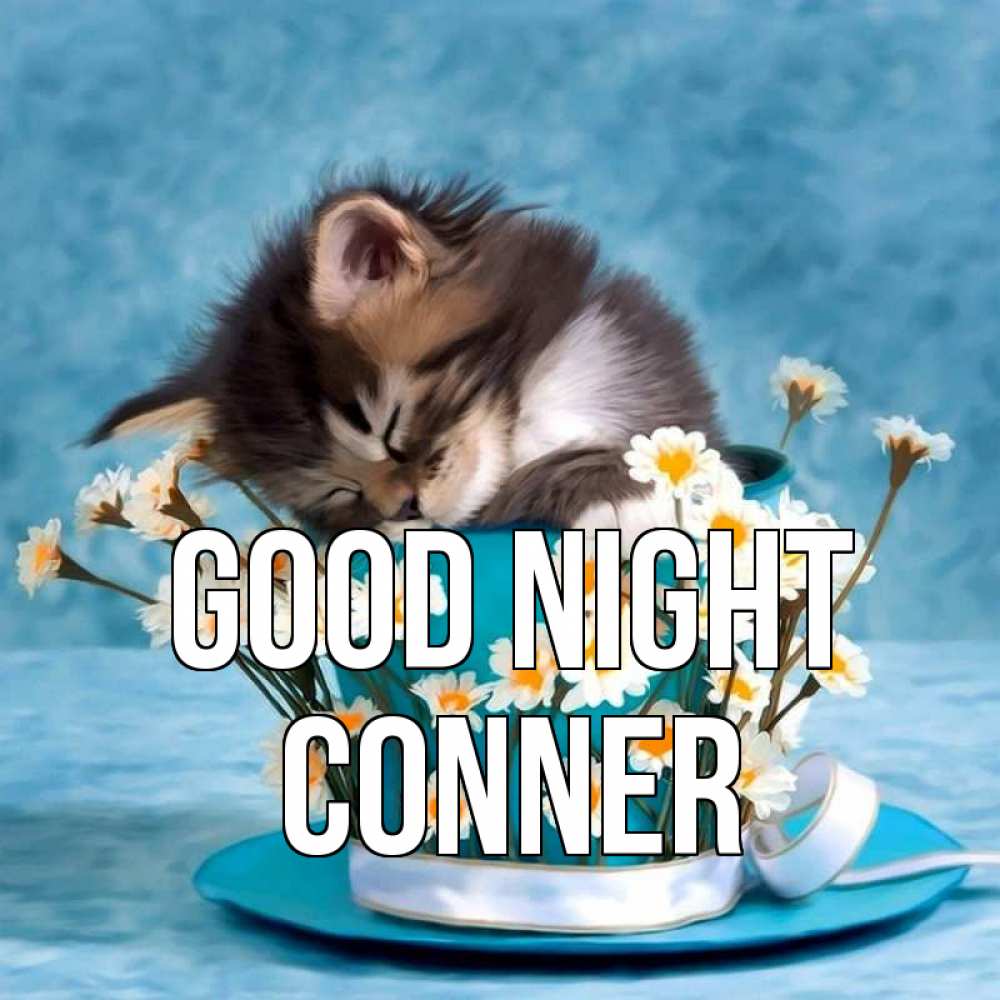 Greetings card с именем, Conner Good night котенок спит в кружке с блюдцем Greetings with text for free download 